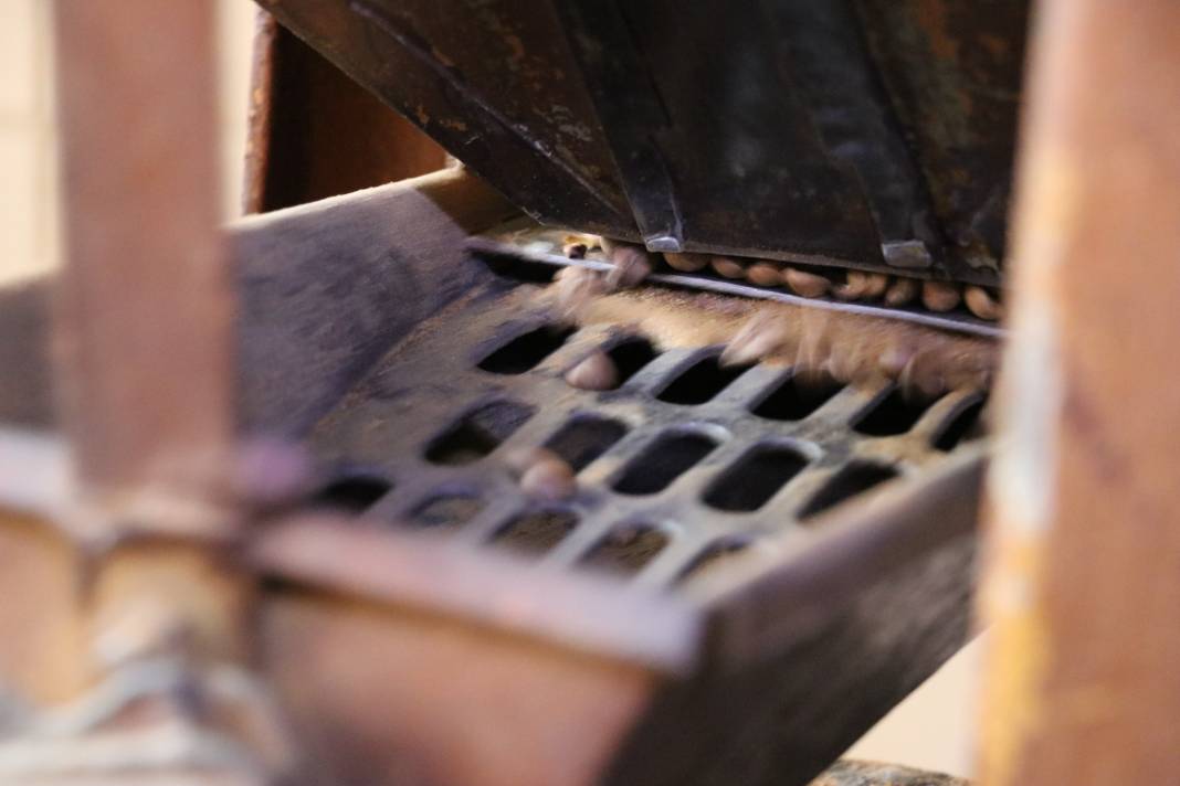 Sivas’ta Asırlık Kahve Geleneği 100. Yılında Yaşatılıyor 2