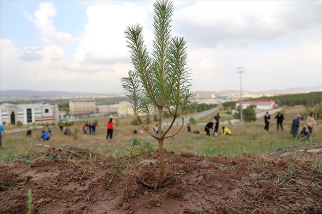 YEŞİL YERLEŞKE´DE 23.SIRADA