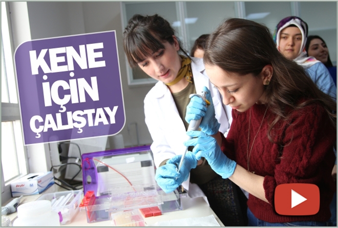 KENE İÇİN ÇALIŞTAY- video