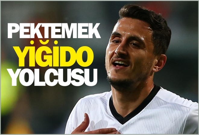 PEKTEMEK YİĞİDO YOLCUSU