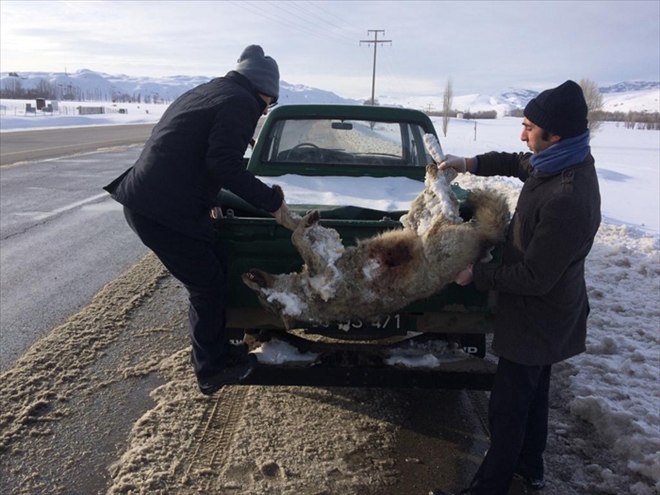 OTOPSİYE GÖNDERİLECEK