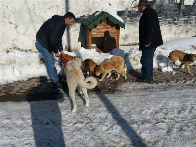 "BİR CANLIYI DA SEN YAŞAT" KAMPANYASI