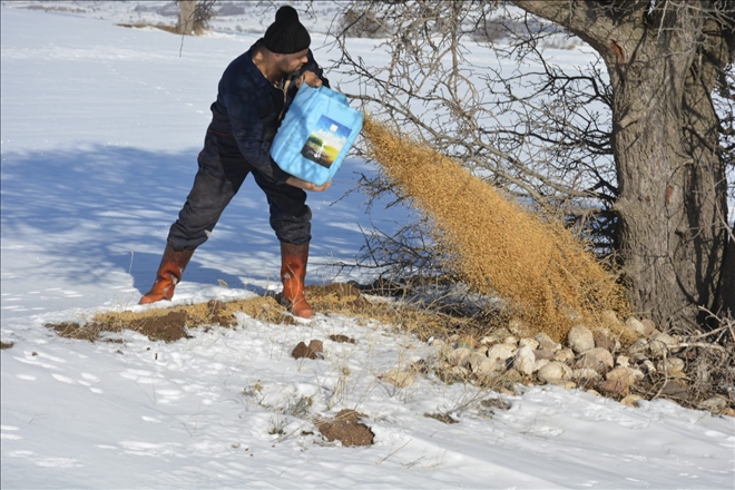 SUŞEHRİ´NDE DOĞAYA YEM BIRAKILDI