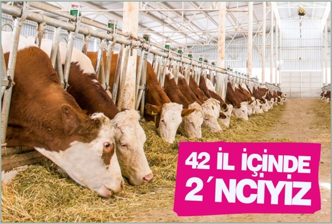 42 İL İÇİNDE 2´NCİYİZ