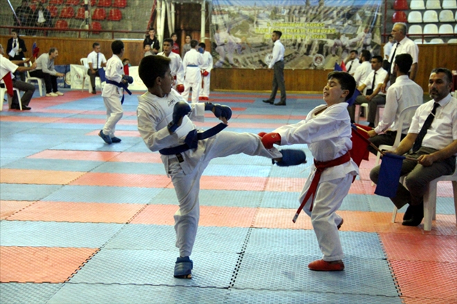 OKULLAR ARASI VE ANALİG SEÇMELERİ YAPILACAK