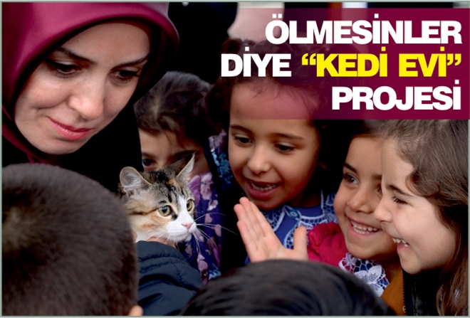 ÖLMESİNLER DİYE ?KEDİ EVİ? PROJESİ