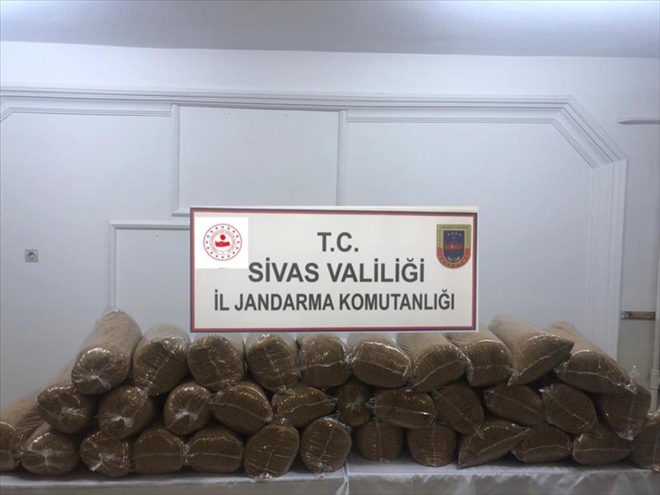 JANDARMA´DAN HAFTALIK BİLANÇO: 15 GÖZALTI