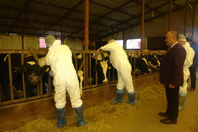 "ŞAP AŞISI ZORUNLUDUR"