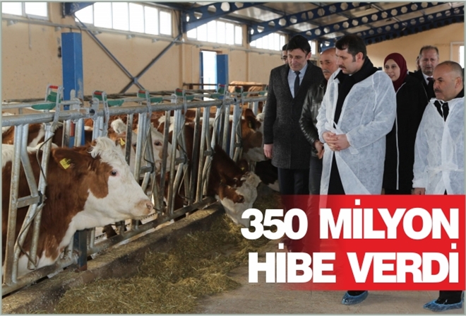 350 MİLYON HİBE VERDİ