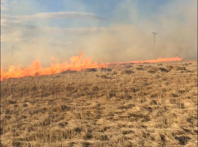 SAZLIK ALANDA YANGIN