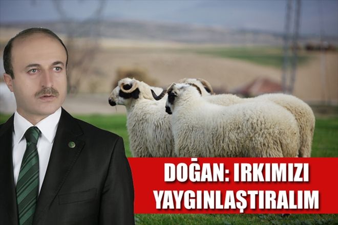 SİVASLI BESİCİYE ?ROMANOV´ UYARISI