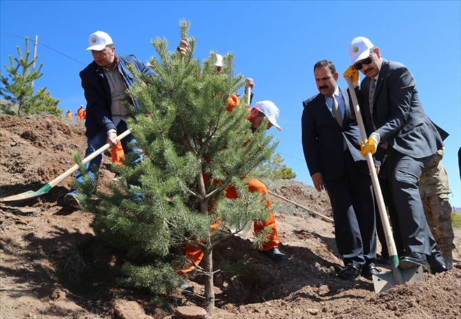 HASSASİYET İSTEDİ