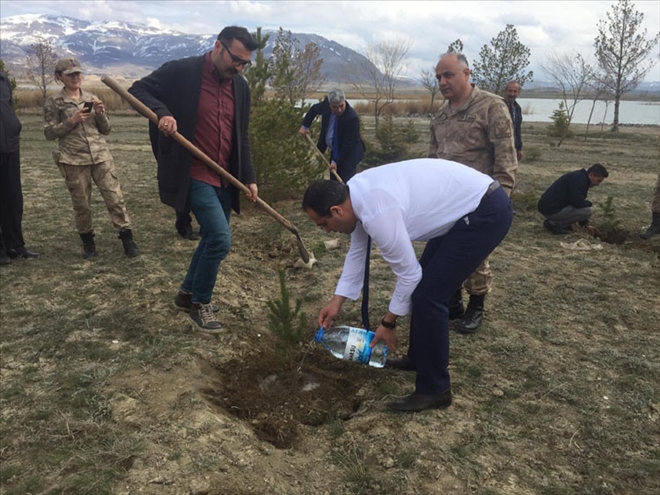 JANDARMA FİDAN DİKTİ