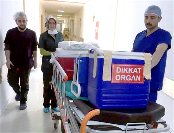 BAĞIŞLANAN ORGANLARIYLA 7 KİŞİYE UMUT OLDU