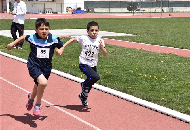 SEÇMELERE 141 SPORCU KATILDI