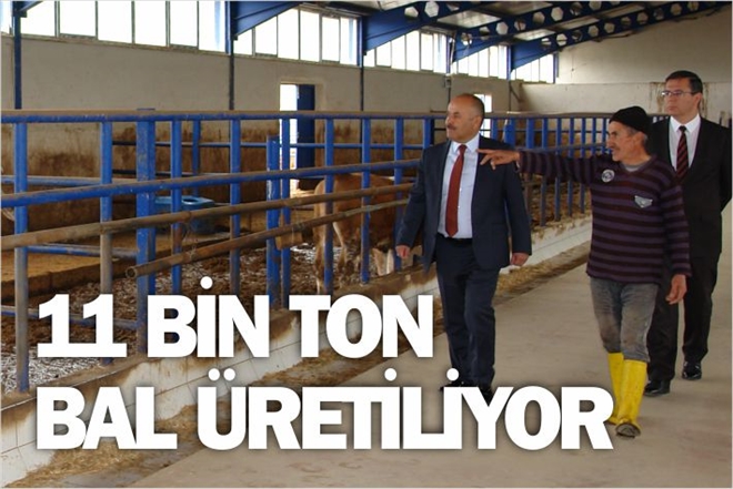 11 BİN TON BAL ÜRETİLİYOR
