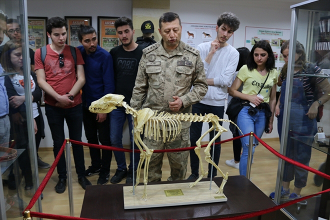 VETERİNERLİK ÖĞRENCİLERİNDEN TEKNİK GEZİ