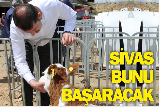 SİVAS BUNU BAŞARACAK