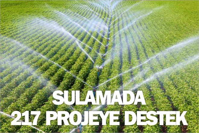 SULAMADA 217 PROJE