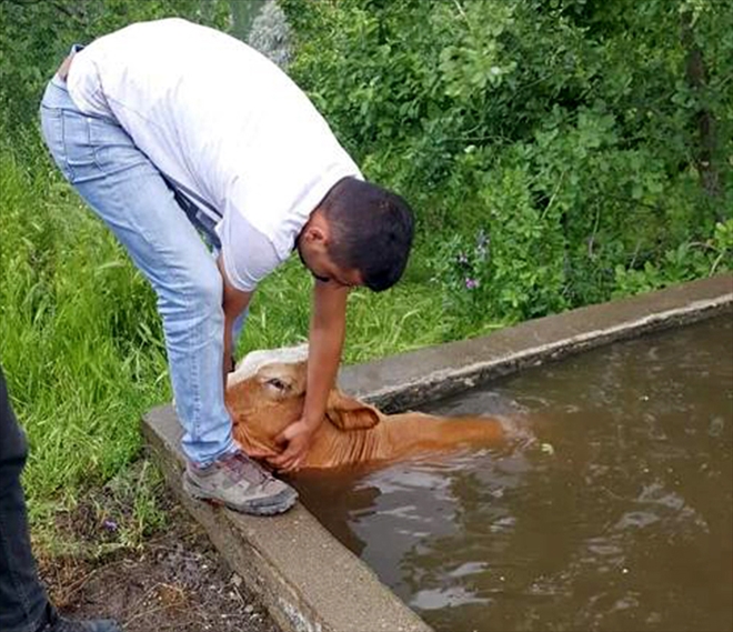 SU DOLU HAVUZA DÜŞTÜ