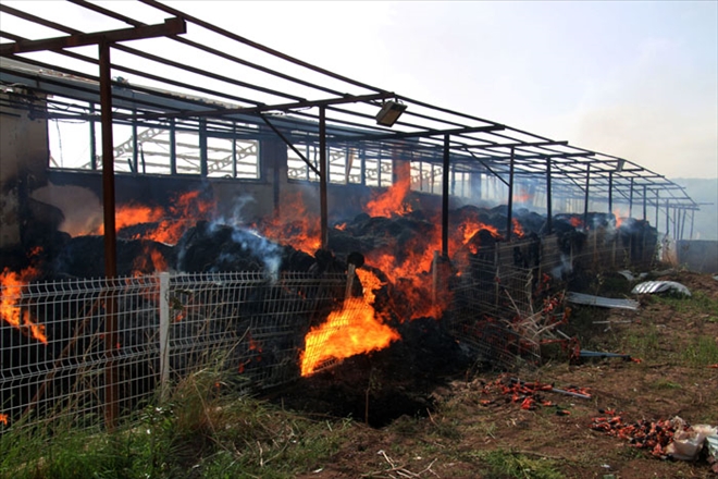 BESİ ÇİFTÇİLĞİNDE YANGIN