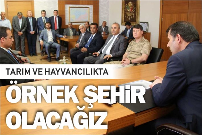 ÖRNEK ŞEHİR OLACAĞIZ