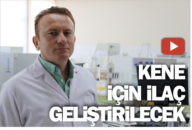 KENE´YE İLAÇ GELİŞTİRİLECEK