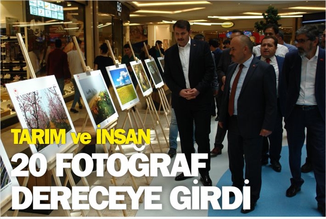 20 FOTOĞRAF DERECEYE GİRDİ