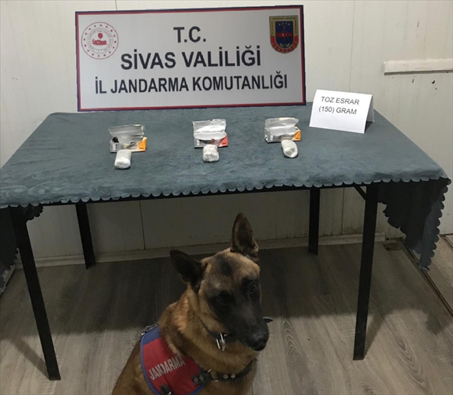 MEYVE SUYU KUTULARINDAN ESRAR ÇIKTI