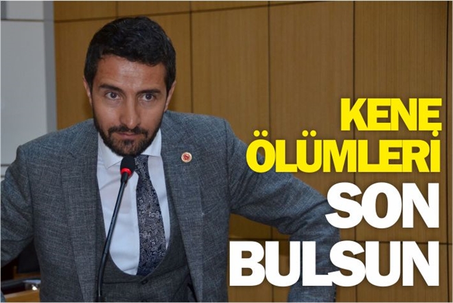 KENE ÖLÜMLERİ SON BULSUN