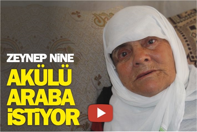 ZEYNEP NİNE AKÜLLÜ ARABA İSTİYOR