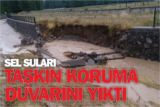 SEL SULARI TAŞKIN KORUMA DUVARINI YIKTI