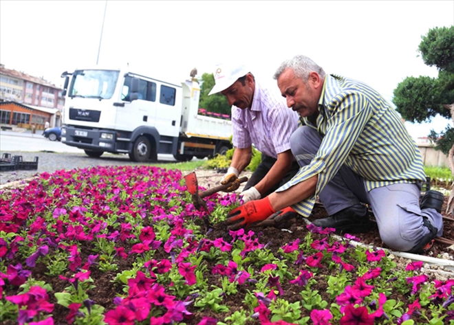 280 BİN ÇİÇEK TOPRAKLA BULUŞACAK