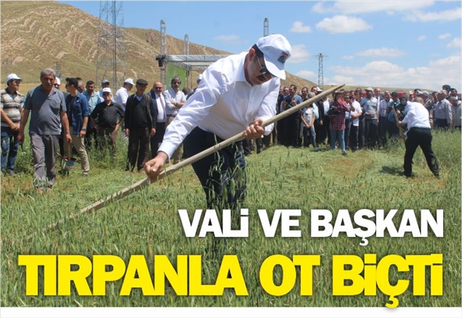 VALİ VE BAŞKAN TIRPANLA OT BİÇTİ