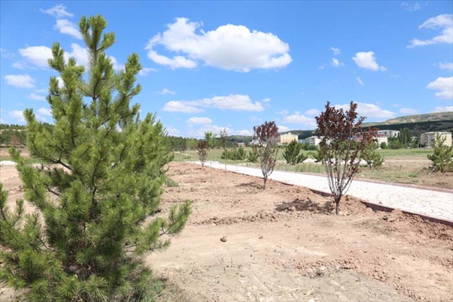 ÜNİVERSİTEYE FİDAN BAĞIŞI