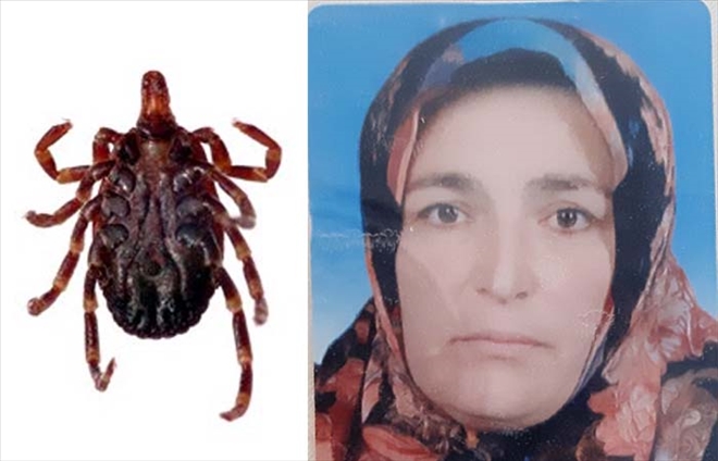 5 ÇOCUK ANNESİ KENE KURBANI