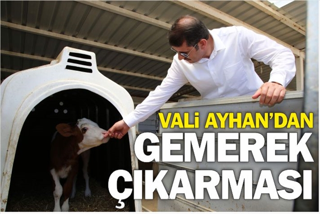 VALİ AYHAN´DAN GEMEREK ÇIKARMASI