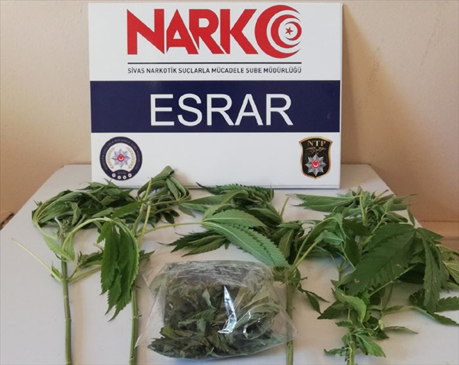 SOKAK OPERASYONLARINDA 3 TUTUKLAMA