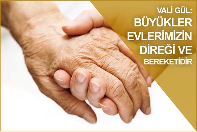?BÜYÜKLER EVLERİMİZİN DİREĞİ BEREKETİDİR"