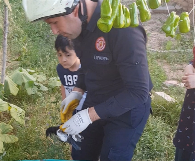 YAVRU KARGANIN İMDADINA İTFAİYE YETİŞTİ