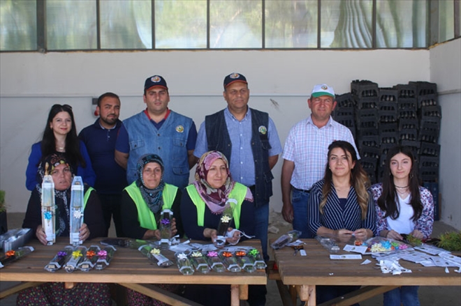 NİKAH ŞEKERİ YERİNE FİDAN