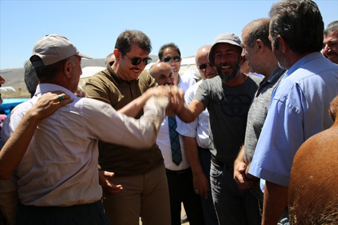 YENİ PAZAR MÜJDESİ