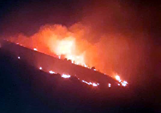 DİVRİĞİ´DE OT YANGINI KORKUTTU