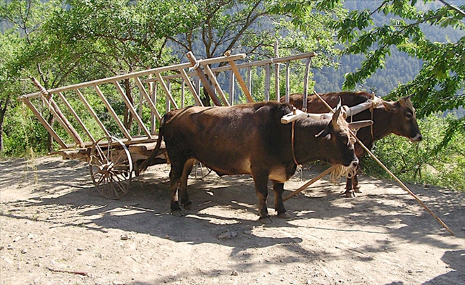 ESKİ TARIM ALETLERİ SERGİLENECEK
