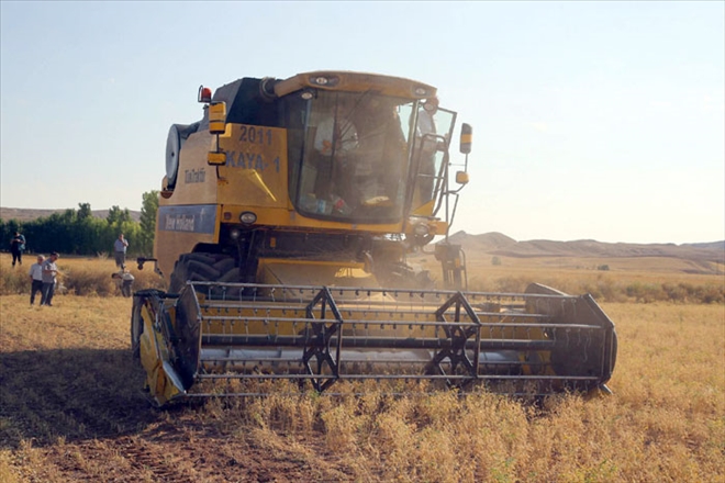 NOHUT HASADI  YÜZLERİ GÜLDÜRDÜ