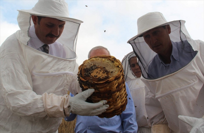 ORGANİK BAL ÜRETİMİNİ DESTEKLEYECEĞİZ