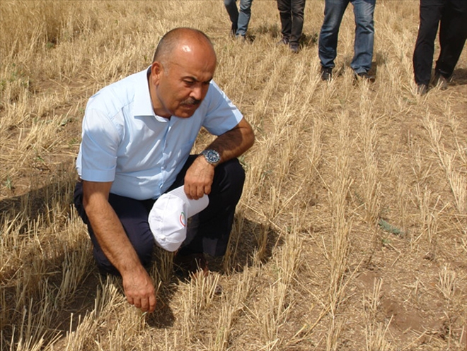 ÇİFTÇİNİN ÜRETİM MALİYETİ AZALIYOR