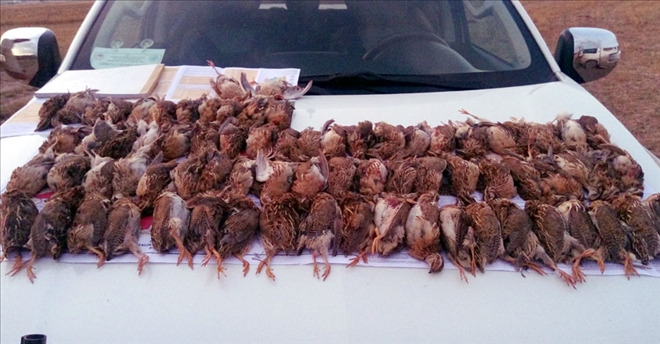 KAÇAK BILDIRCIN AVINA SUÇÜSTÜ