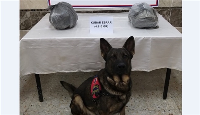 KAÇAKÇILAR YAKAYI ELE VERDİ