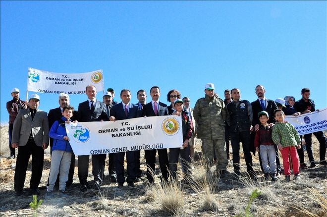 GÜRÜN´DE FİDAN DİKİMİ